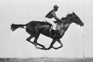 Caballo Muybridge