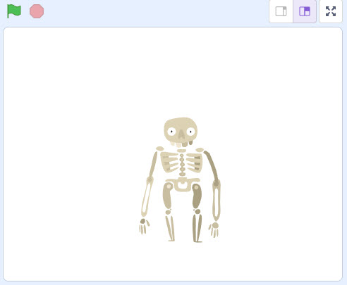 skeleton
